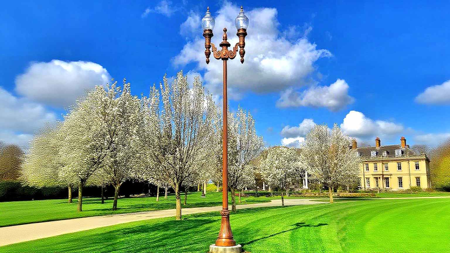 A Guide to Different Types of Street Light Poles for Every Project,Street Light Poles
