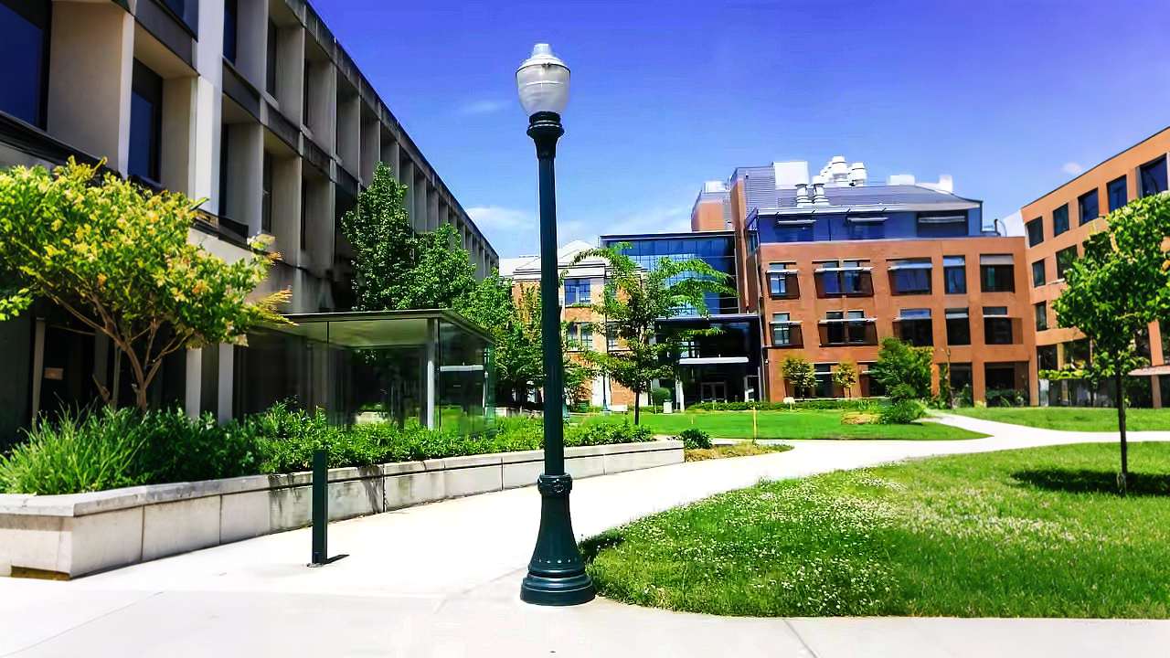 Street Light Pole Selection: Finding Your Perfect Match